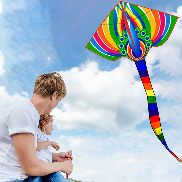 Kite for Kids Age 4-8 8-12, Large Kite for Boys Adults Easy to Fly & Assemble, Beach Kites with 328ft Kite String,Perfect for Beach Trip Park Family Activities Outdoor Games-Peacock