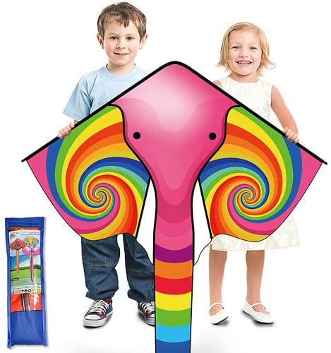 Kite for Kids Age 4-8 8-12, Large Kite for Boys Adults Easy to Fly & Assemble, Beach Kites with 328ft Kite String,Perfect for Beach Trip Park Family Activities Outdoor Games-Flag